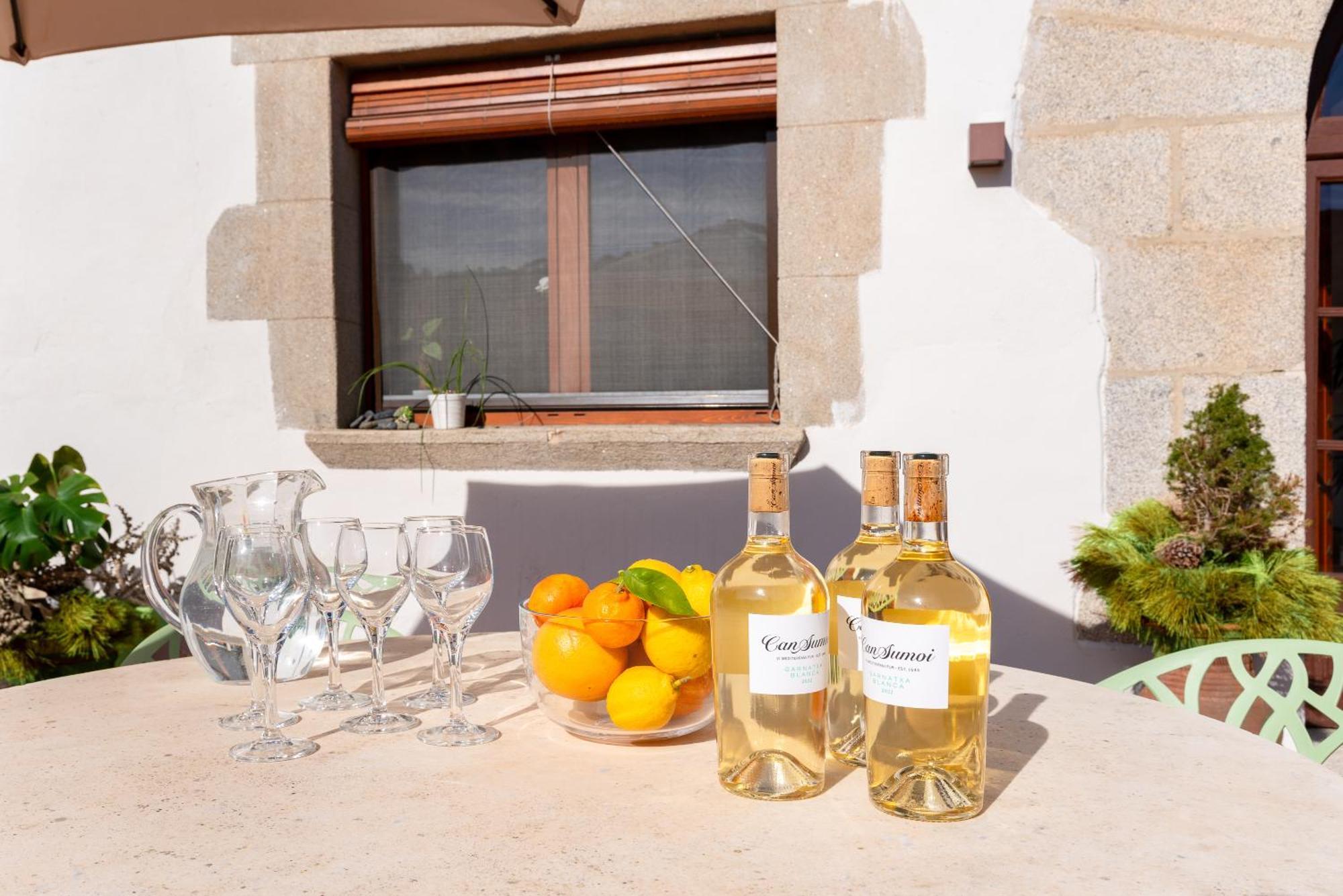 Sant Iscle De Vallalta La Terraza - Grosszuegiges Appartment In Katalanischer Masia מראה חיצוני תמונה